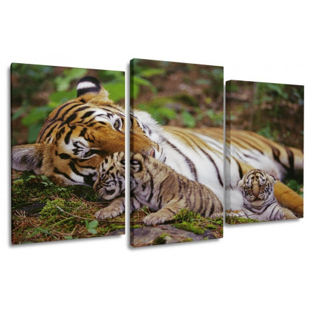 Модульная картина "Тигрица и тигрята" 100х60 S745
