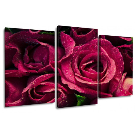 Модульная картина "Прекрасные розы" 100х60 S650