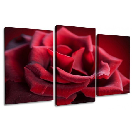Модульная картина "Нежная красная роза" 100х60 S608