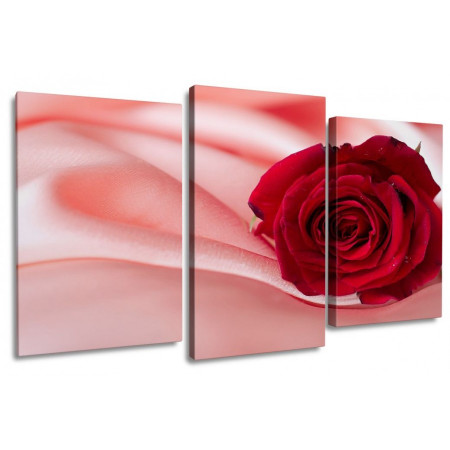 Модульная картина "Красная роза и розовый шелк" 100х60 S599