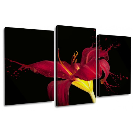 Модульная картина "Красная лилия брызги" 100х60 S587