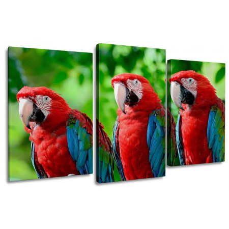 Модульная картина "Три попугая" 100х60 S420