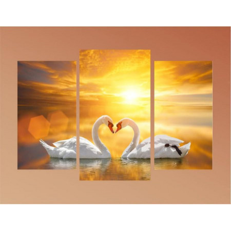 Модульная картина "Белые лебеди в лучах заката" 60х80 ТР1776