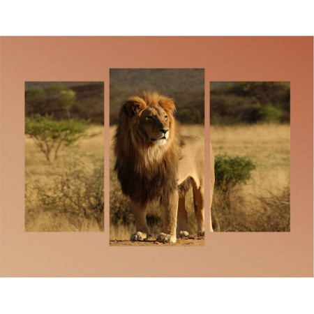Модульная картина "Король лев" 60х80 ТР1692