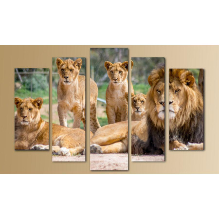 Модульная картина "Семейство львов" 80х140 M2596