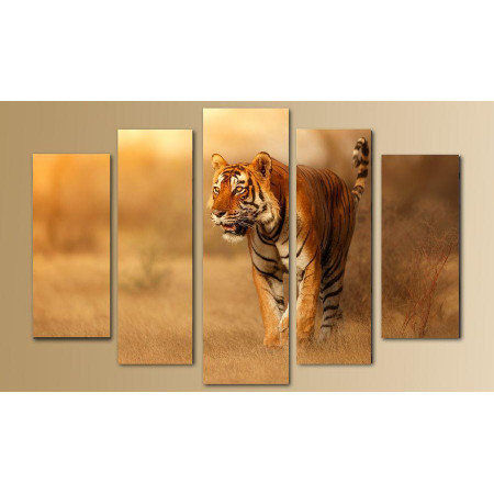 Модульная картина "Тигр на охоте" 80х140 M2590