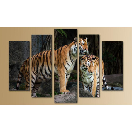 Модульная картина "Два тигра" 80х140 M2546