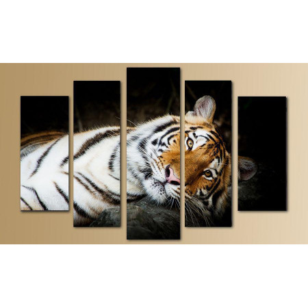 Модульная картина "Спокойный тигр" 80х140 M2542