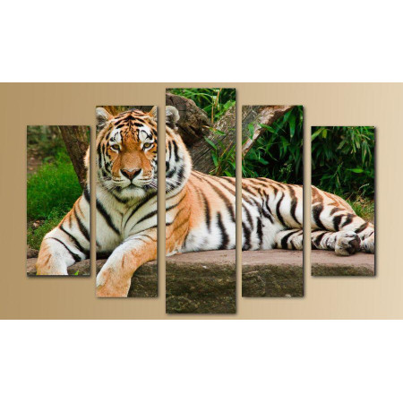 Модульная картина "Грациозный тигр" 80х140 M2537