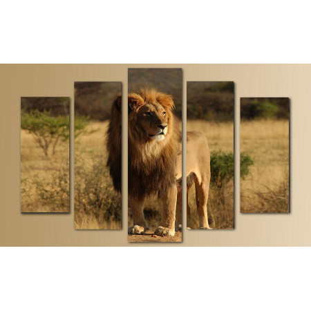 Модульная картина "Король лев" 80х140 M2528
