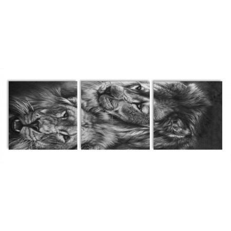 Модульная картина "Черно-белые львы" 35х110 N370
