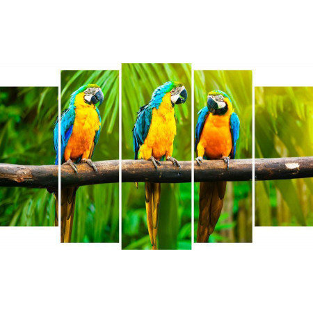 Модульная картина "Три попугая на ветке" 80х140 М1342