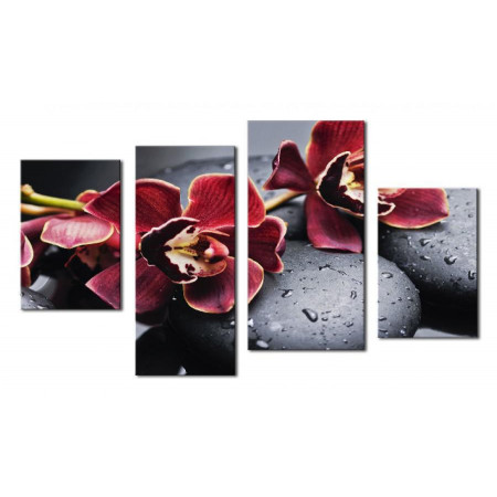 Модульная картина "Бордовые цветки орхидеи на камнях" 80х130 чт453