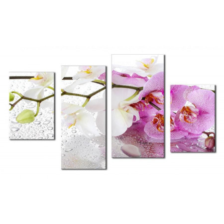 Модульная картина "Орхидеи в каплях росы" 80х130 чт431