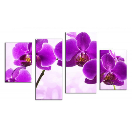 Модульная картина "Фиолетовая орхидея" 80х130 чт384