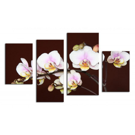 Модульная картина "Орхидеи на ветке" 80х130 ЧТ290