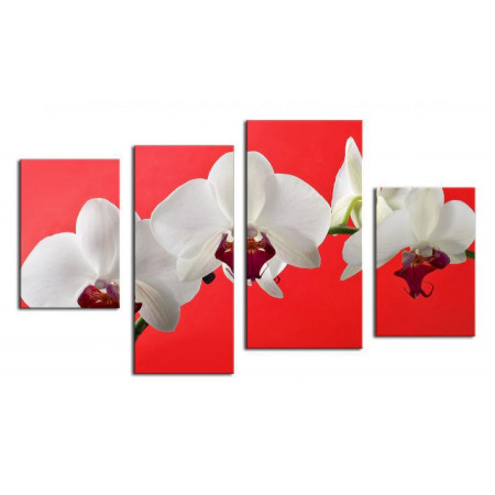 Модульная картина "Орхидея на красном фоне" 80х130 ЧТ254