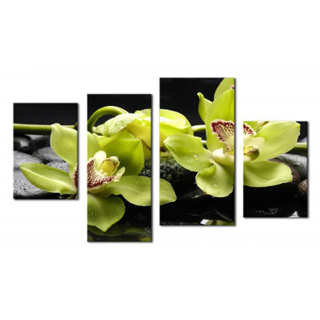 Модульная картина "Шикарные орхидеи" 80х130 ЧТ222