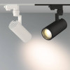 Трековый светодиодный светильник Arlight LGD-Zeus-2TR-R67-10W Day4000 025906