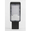 Уличный светодиодный светильник консольный ЭРА SPP-502-0-50K-120