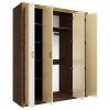 Шкаф платяной Айрум