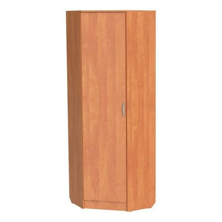 Шкаф платяной ШП-10