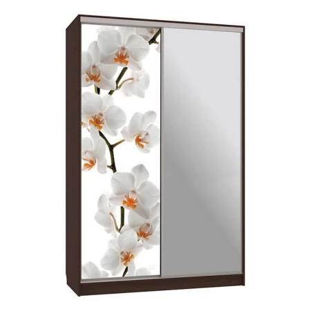 Шкаф-купе Гранд 9-600 83