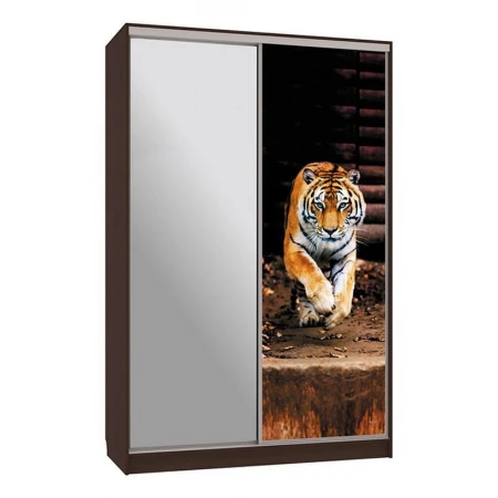 Шкаф-купе Гранд 9-600 87