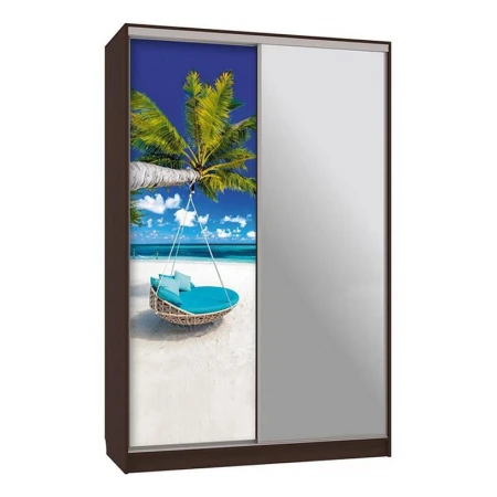 Шкаф-купе Рио 9-600 77