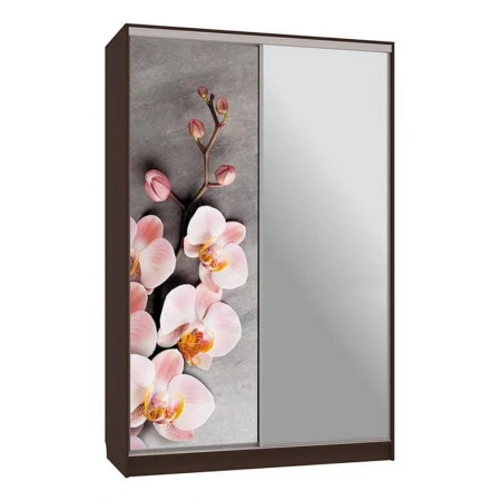 Шкаф-купе Рио 9-600 78