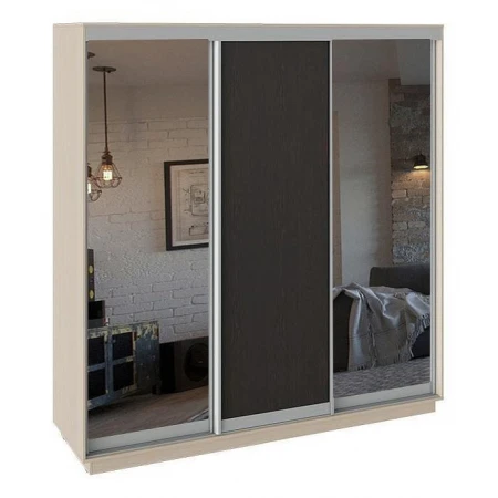 Шкаф-купе Румер СШК 1.210.70-13.11.13