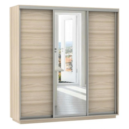 Шкаф-купе Экспресс Медиум (1 зеркало) Трио 1800x600x2200