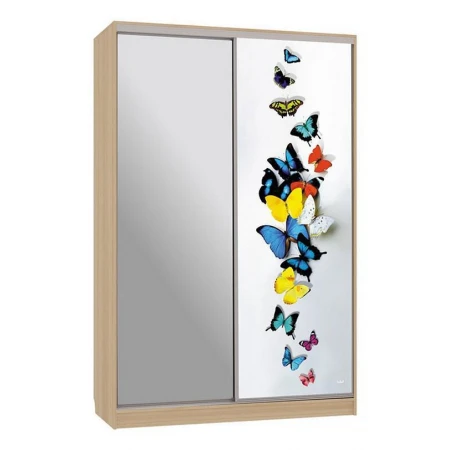 Шкаф-купе Рио 9-600 88