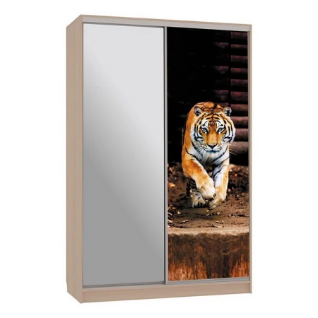 Шкаф-купе Рио 9-600 87