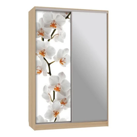 Шкаф-купе Рио 9-600 83