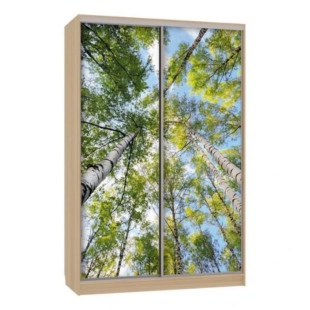 Шкаф-купе Гранд 7-600 57