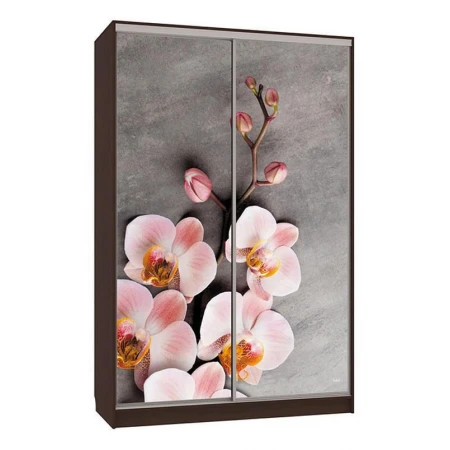 Шкаф-купе Рио 7-600 78