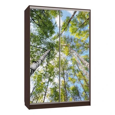 Шкаф-купе Рио 7-600 57