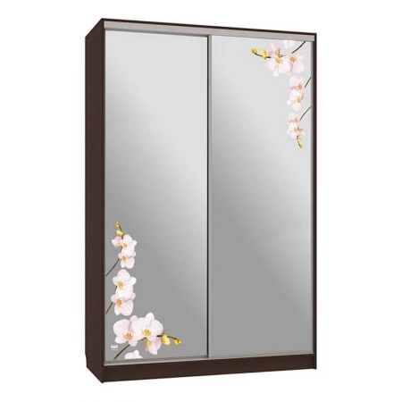 Шкаф-купе Рио 4-600 орхидеи