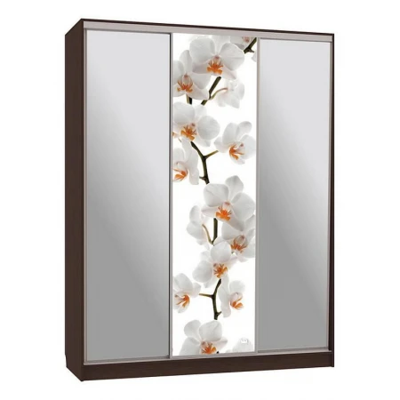 Шкаф-купе Бассо 9-600 83