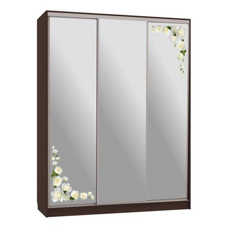 Шкаф-купе Бассо 4-600 розы