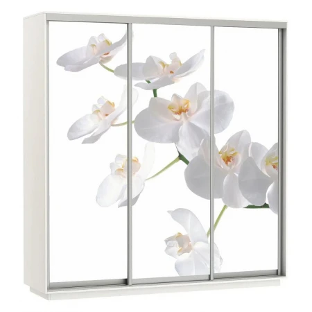 Шкаф-купе Экспресс Фото Трио Орхидея 2400x600x2200