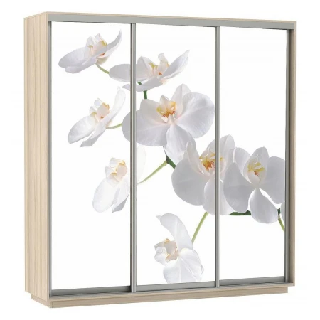 Шкаф-купе Экспресс Фото Трио Орхидея 1800x600x2400
