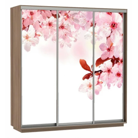Шкаф-купе Экспресс Фото Трио Сакура 1800x600x2200