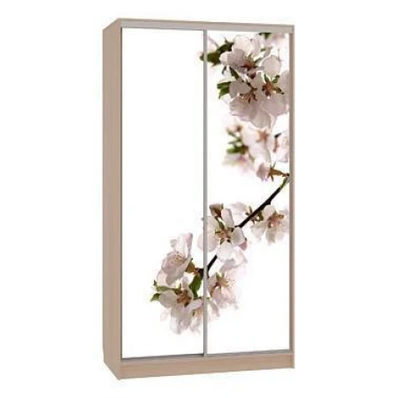 Шкаф-купе Рио 7-600 яблоня