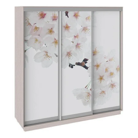 Шкаф-купе Румер СШК 1.210.70-35