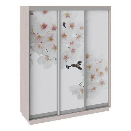 Шкаф-купе Румер СШК 1.180.60-35