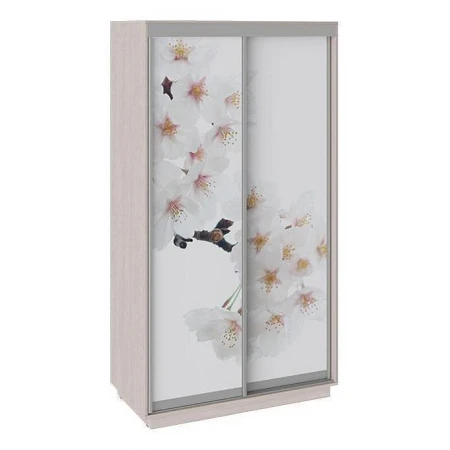 Шкаф-купе Румер СШК 1.120.60-25