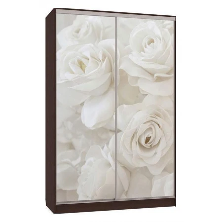 Шкаф-купе Гранд 7-600 розы