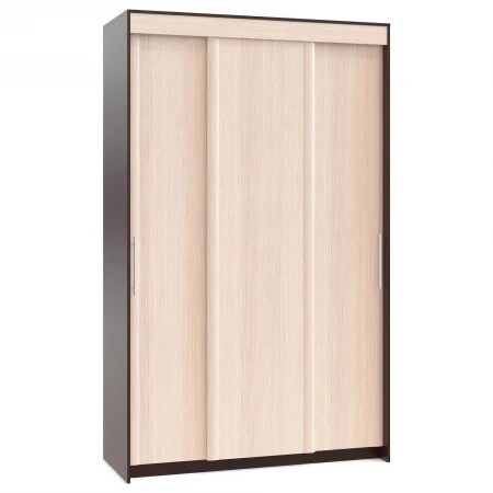 Шкаф-купе ШР-156.3